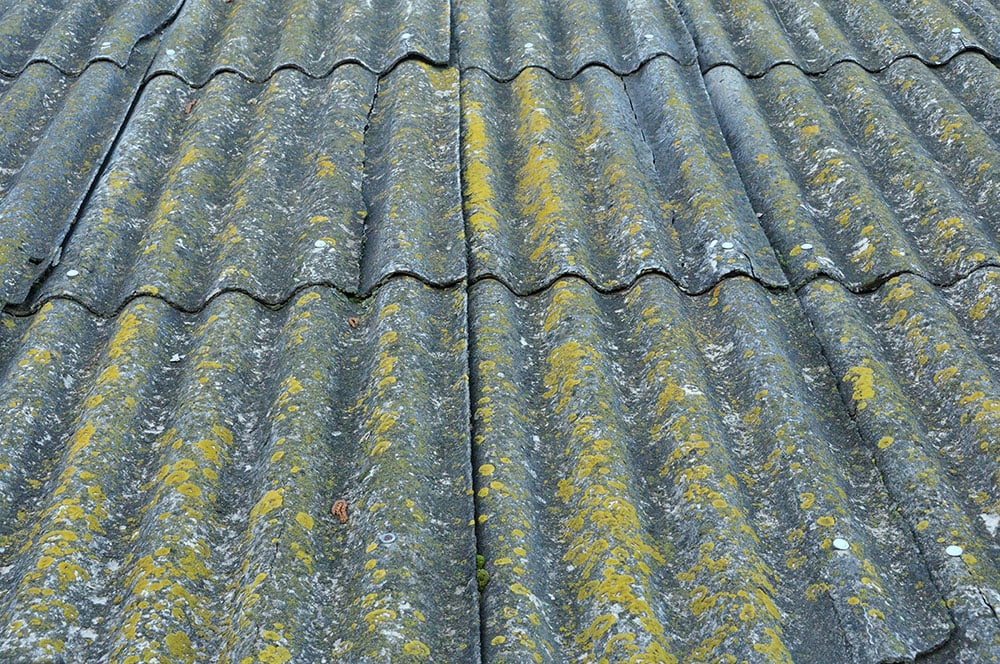 How Do I Clean Algae Off My Roof - How Do I Clean My Roof