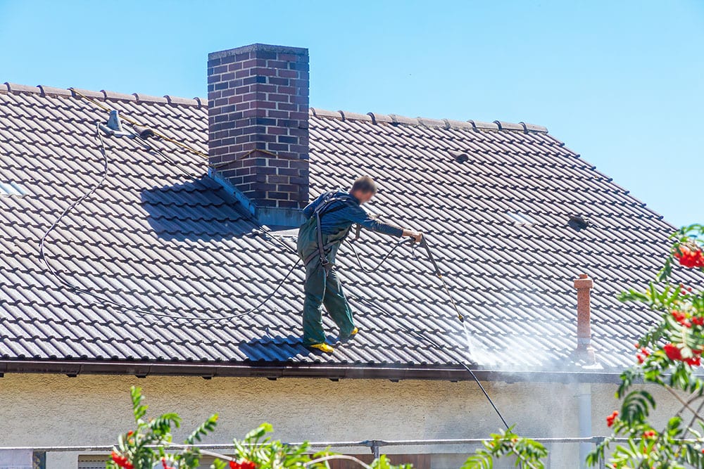 My Roof Has Moss or Algae – How Do I Clean My Roof - High PressureRoof Cleaning